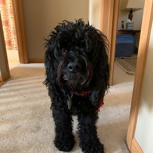 Meet your Posher, Julia